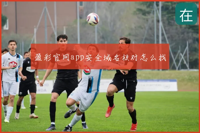 盈彩官网app安全域名核对怎么找