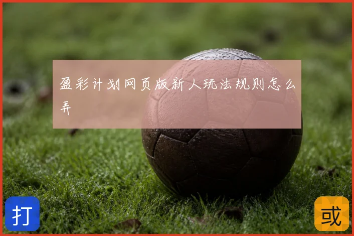 盈彩计划网页版新人玩法规则怎么弄
