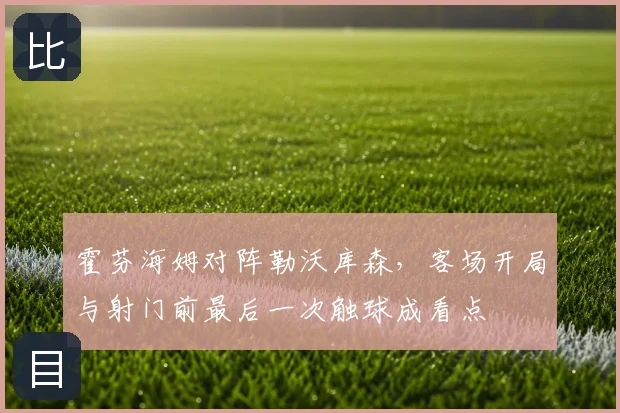 霍芬海姆对阵勒沃库森，客场开局与射门前最后一次触球成看点